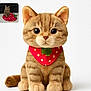 Bébé participe au concours pour gagner de l'argent avec cette photo : animal, bandana, cat, cute, decor, feline, floor, indoor, mat, pet, plush_toy, real_cat, red_bandana, sitting, small_cat, strawberry_pattern, striped_cat, stuffed_animal, tabby_cat, toy_cat