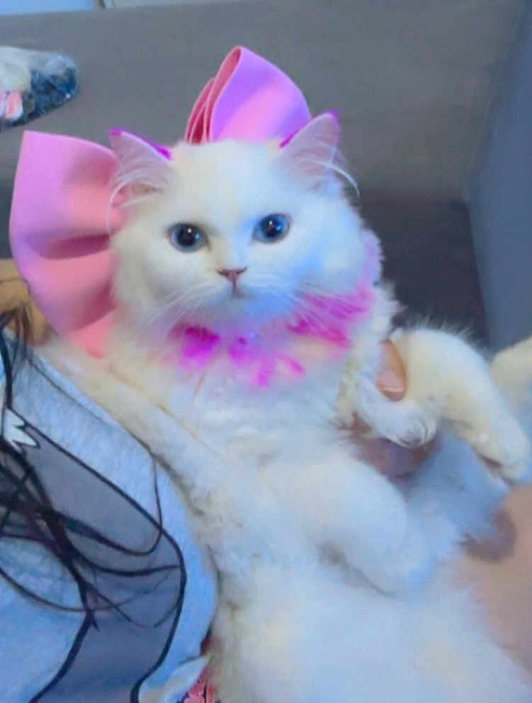 Poupée
