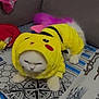cat, costume, pikachu, yellow, white_cat, fluffy, pet, animal, indoors, fabric, couch, purple_tail, cute, grumpy_expression, clothing, patterned_surface, sitting, toy, feline, soft