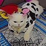 cat, white_cat, costume, cow_pattern, pink_tail, pink_ears, pet, indoor, blanket, compass_design, fabric, fur, animal, cute, feline, resting, unimpressed, clothing, soft_texture, couch
