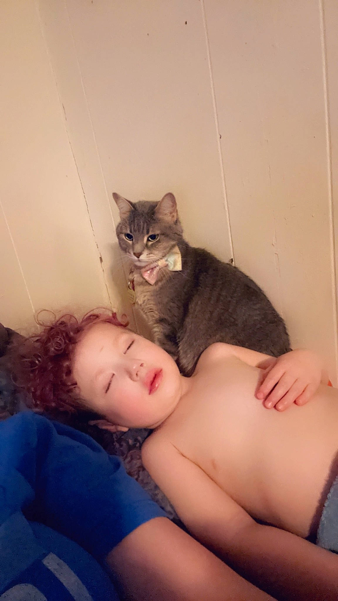 Chevelle is registered to the contest to win money with this photo: barefoot, bed, carnivore, cat, chest, comfort, felidae, foot, gesture, hand, human_leg, knee, lap, leg, nail, sitting, small_to_medium_sized_cats, smile, thigh, whiskers