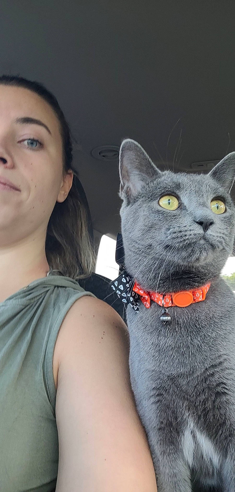 Sassy is registered to the contest to win money with this photo: black_cat, carnivore, cat, chest, domestic_short_haired_cat, earrings, eyelash, fashion_accessory, felidae, fur, gesture, happy, jewellery, necklace, small_to_medium_sized_cats, smile, snout, t_shirt, whiskers