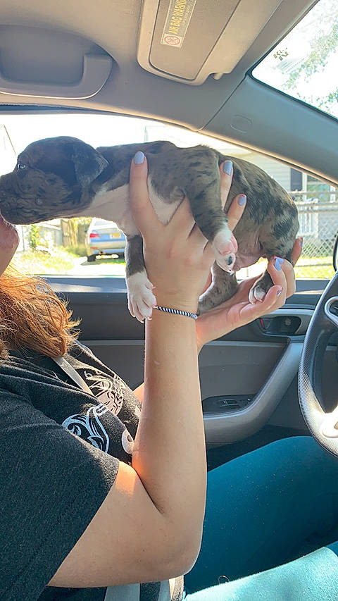 Granite is registered to the contest to win money with this photo: automotive_exterior, automotive_mirror, automotive_window_part, car_seat, finger, glass, hand, joint, mammal, motor_vehicle, nail, rear_view_mirror, steering_part, steering_wheel, thumb, transport, vehicle_door, vertebrate, windshield, wrist