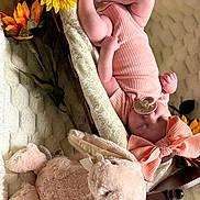 Poetri is registered to the contest to win money with this photo: baby, sleeping, pacifier, bow, plush_bunny, sunflower, basket, blanket, soft_toy, infant, cute, cozy, child, pink_outfit, headwear, resting, indoors, decor, portrait, peaceful