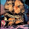 cat, feline, long_hair, calico, pet, collar, jewelry, sparkly, glamorous, portrait, close_up, whiskers, ears, eyes, nose, fur, indoor, bed, leopard_print, fashionable