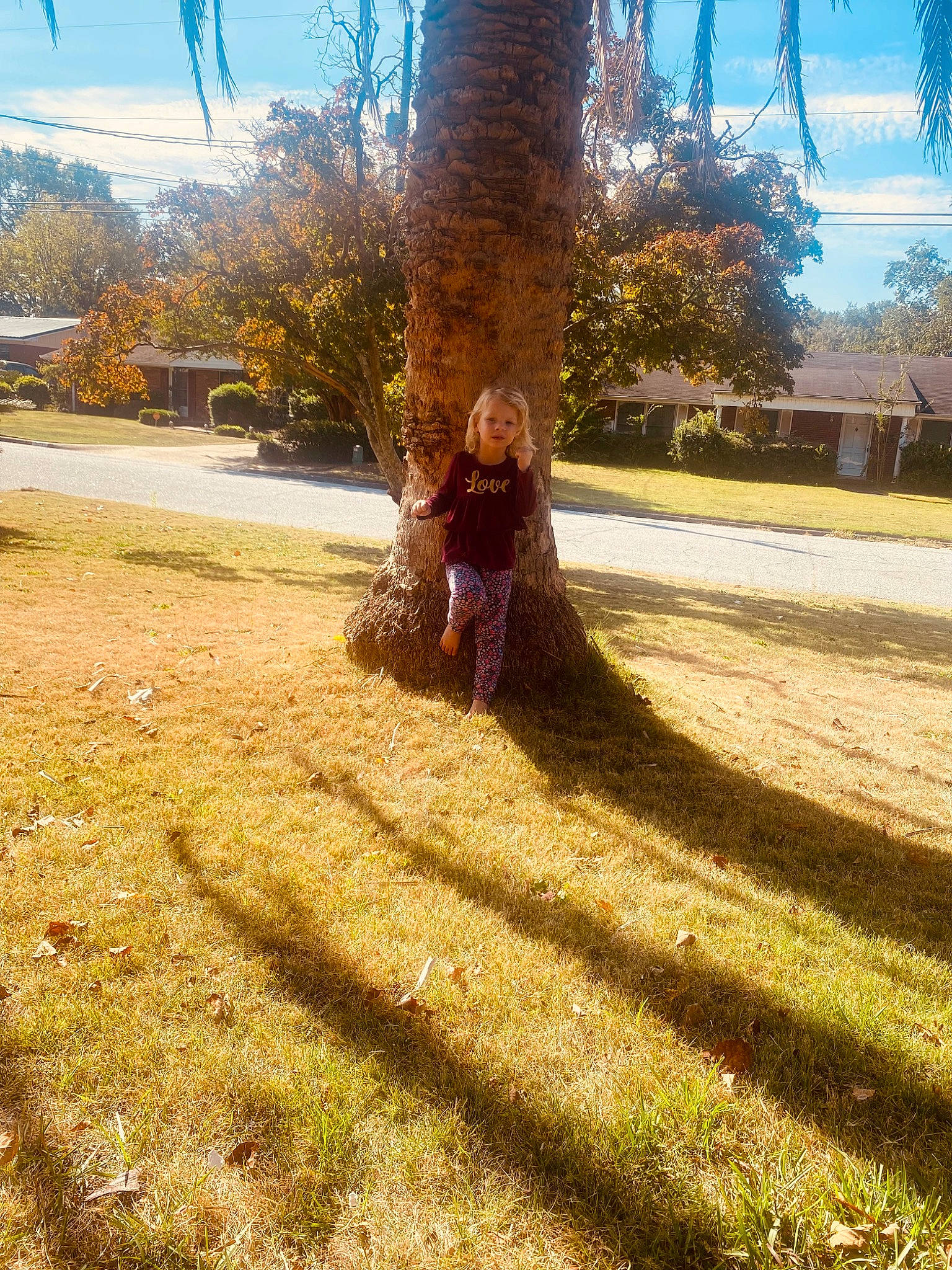 Brooklyn is registered to the contest to win money with this photo: branch, cloud, environmental_art, fawn, grass, grass_family, happy, landscape, lawn, natural_landscape, people_in_nature, person, plant, sky, sunlight, tints_and_shades, tree, trunk, twig, wood