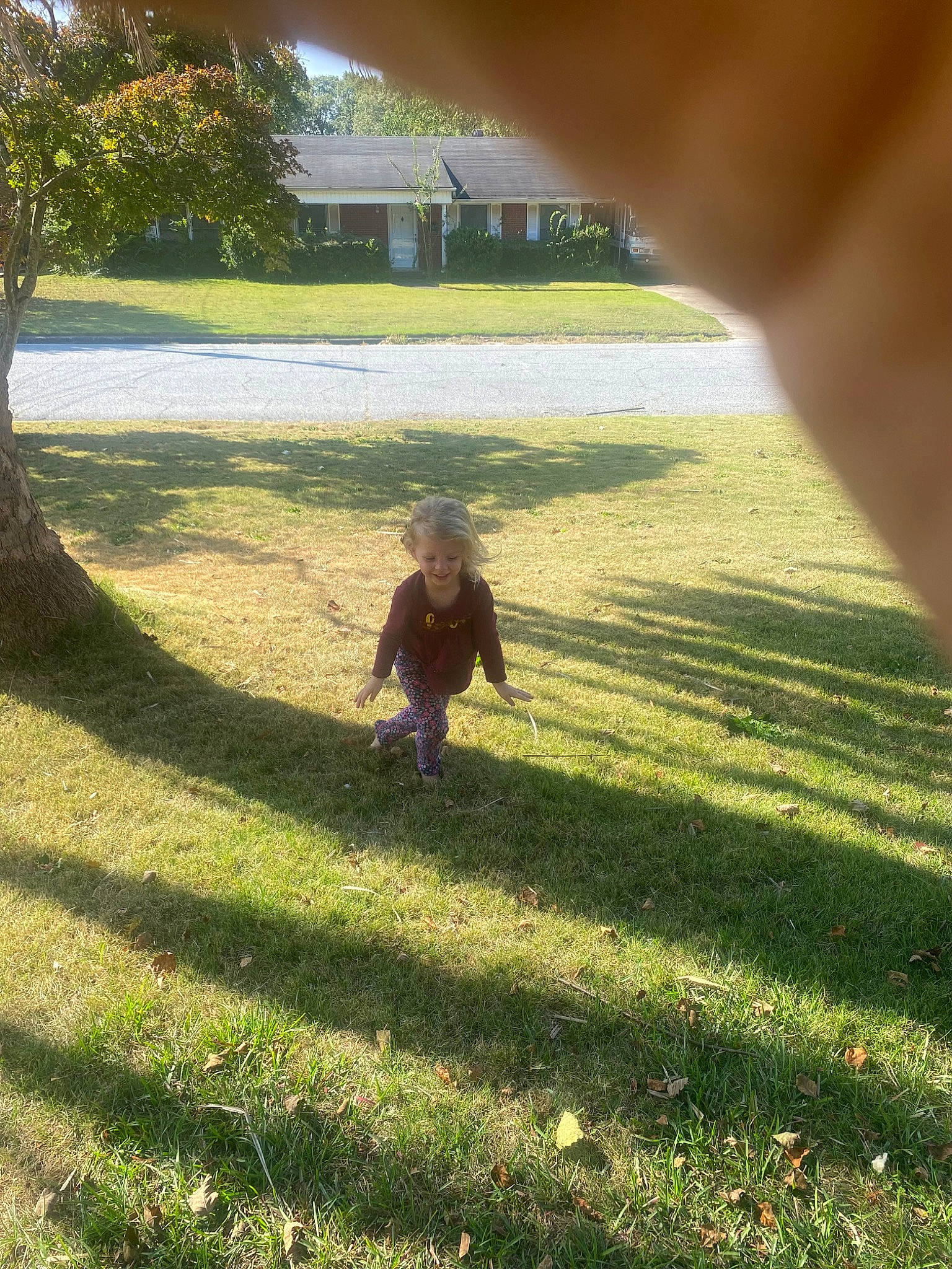 Brooklyn joined the competition — help win amazing prizes! fun, grass, grass_family, grassland, groundcover, house, joy, landscape, lawn, leisure, meadow, pasture, people_in_nature, person, plant, recreation, shade, shadow, tints_and_shades, toddler