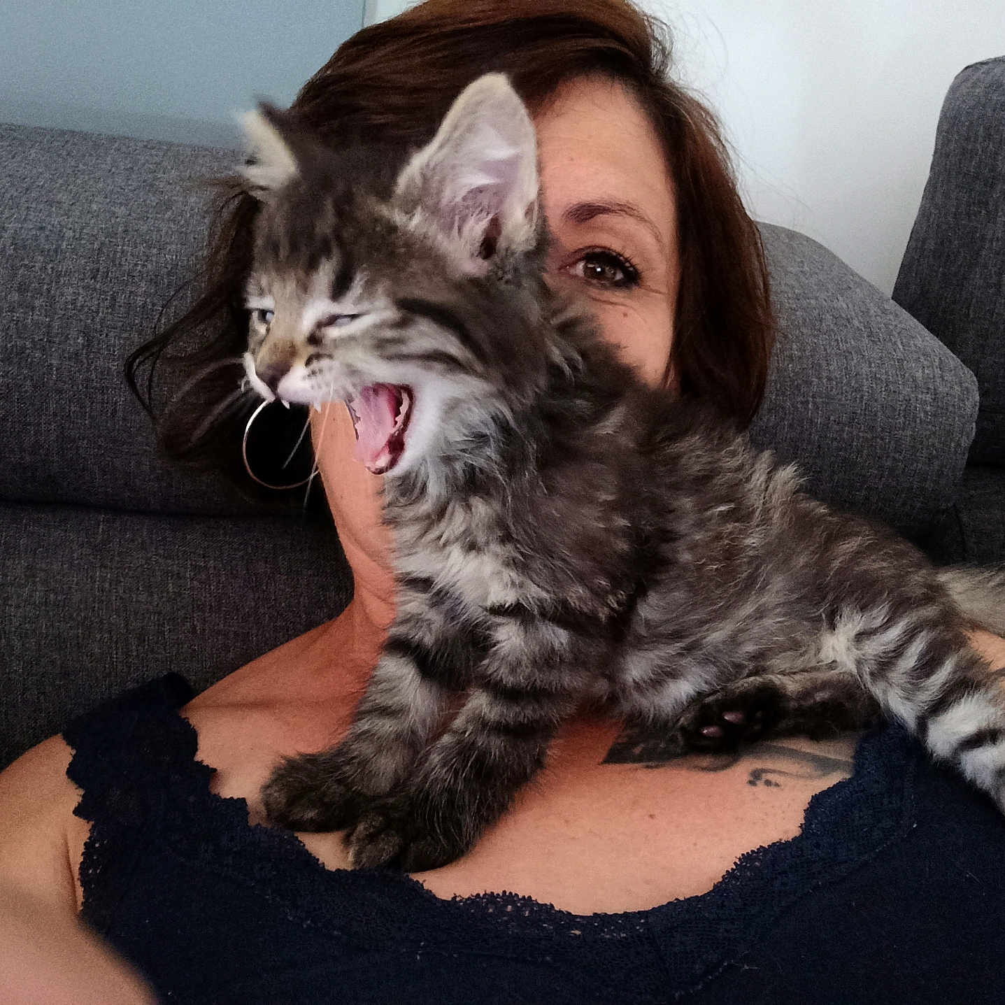 Rasta a rejoint le concours — aidez-le/la à gagner de superbes lots ! animal, cat, clothing, couch, cute, face, furry, gray, home, human, indoor, kitten, pet, playful, portrait, relaxing, resting, sofa, tattoo, woman