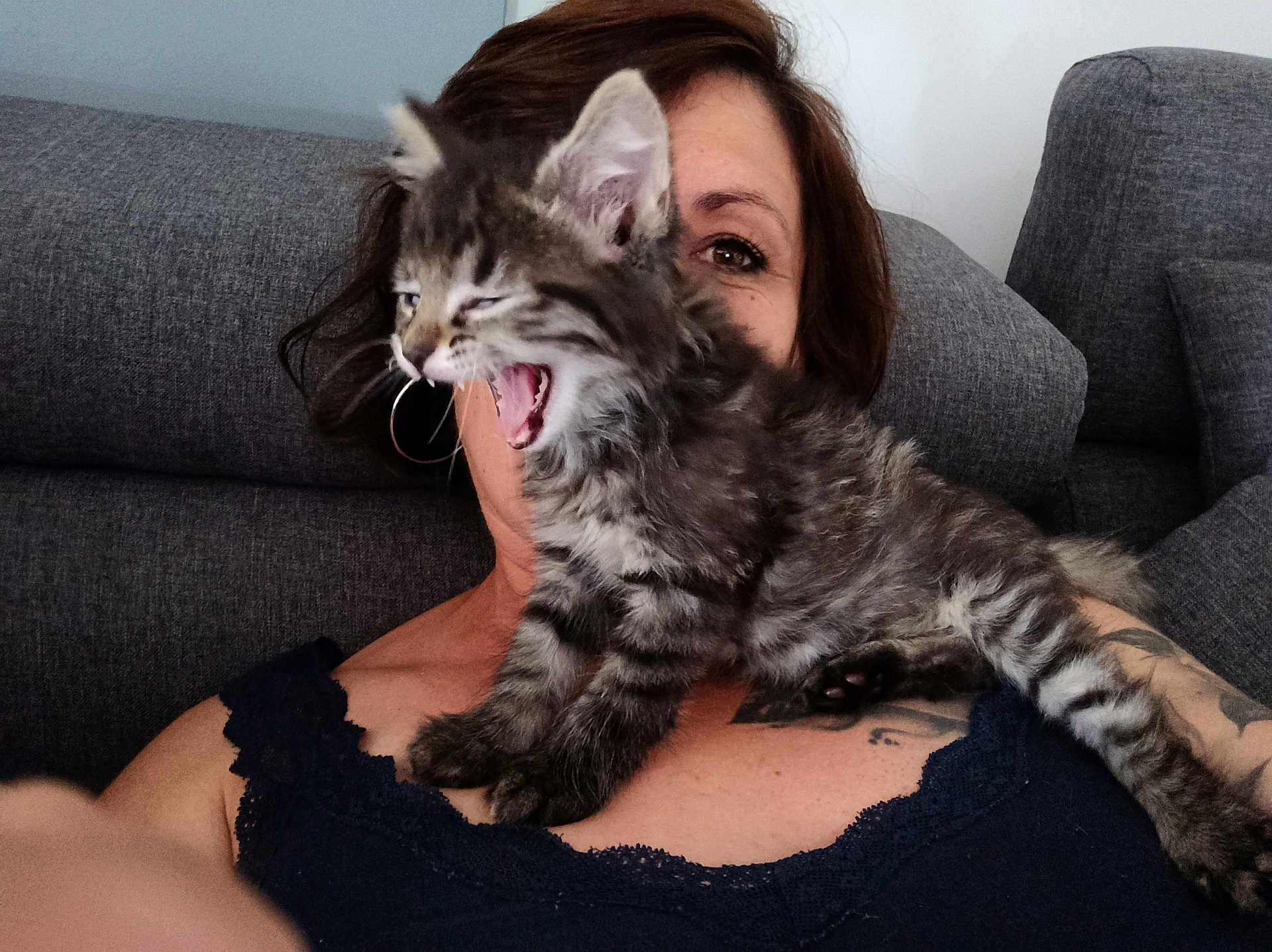 Rasta a rejoint le concours — aidez-le/la à gagner de superbes lots ! kitten, cat, woman, face, tattoo, sofa, couch, indoor, pet, furry, gray, clothing, relaxing, human, portrait, home, animal, playful, resting, cute