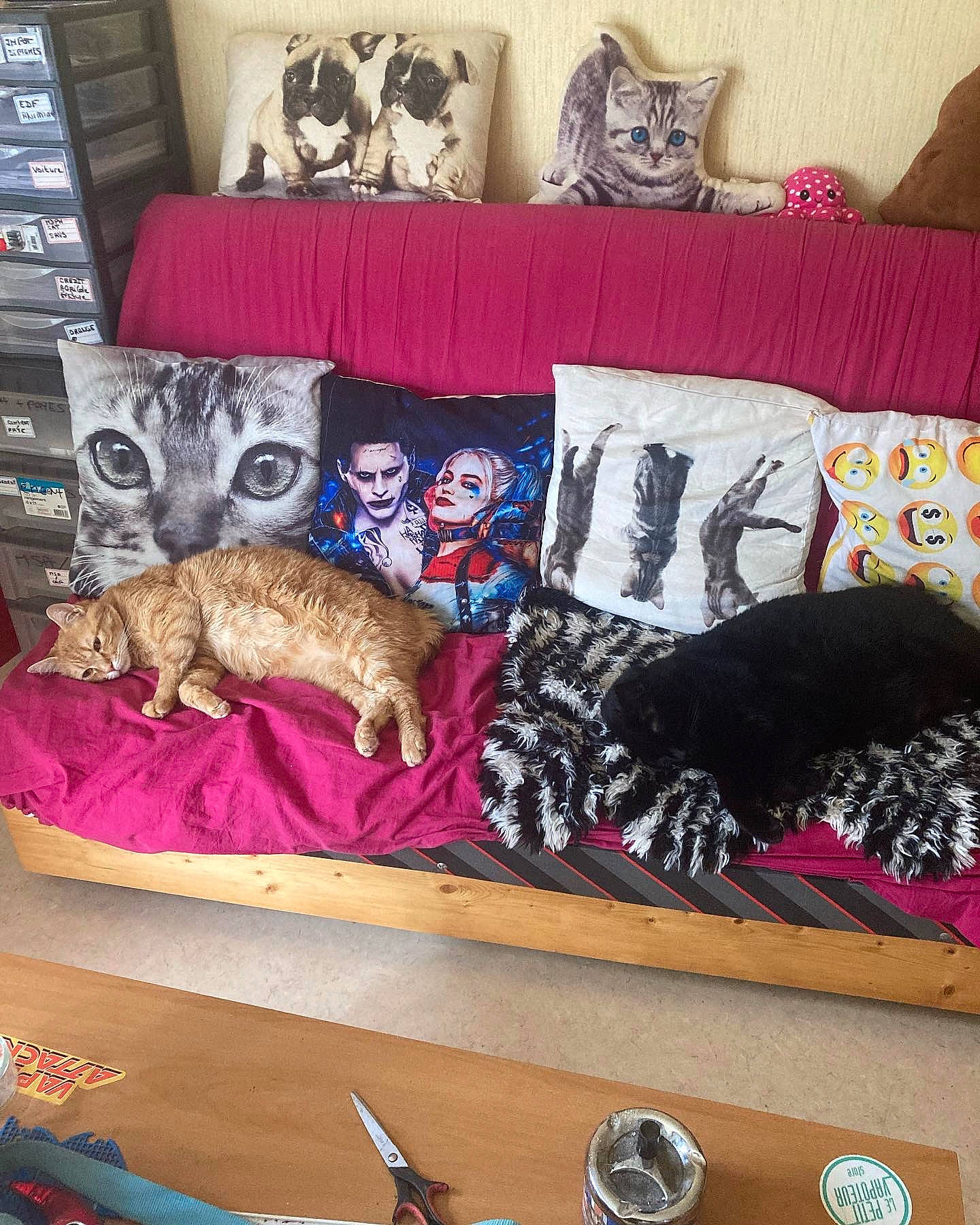 Lucky participe au concours pour gagner de l'argent avec cette photo : art, blue, brown, carnivore, comfort, companion_dog, couch, fawn, felidae, flooring, grey, interior_design, kitchen_appliance, linens, mammal, pink, small_to_medium_sized_cats, studio_couch, textile, vertebrate