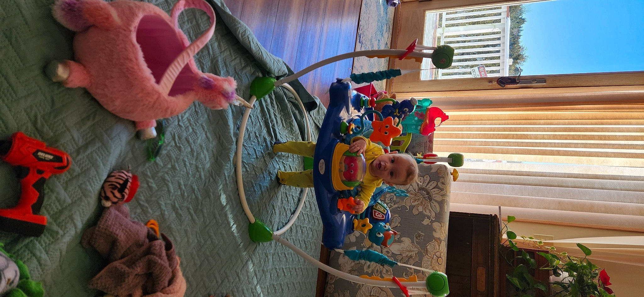 Kinzie is registered to the contest to win money with this photo: art, child, fun, leisure, organism, person, photograph, plant, recreation, room, snapshot, stuffed_toy, surprise, textile, toy, tree, vacation, visual_arts, water, window_blind