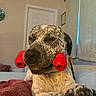 Gilly joined the competition — help win amazing prizes! dog, pet, canine, spotted_dog, red_toy, toy, bedroom, bed, blanket, indoor, portrait, close_up, sitting, funny, playful, brown_eyes, black_nose, collar, home, animal