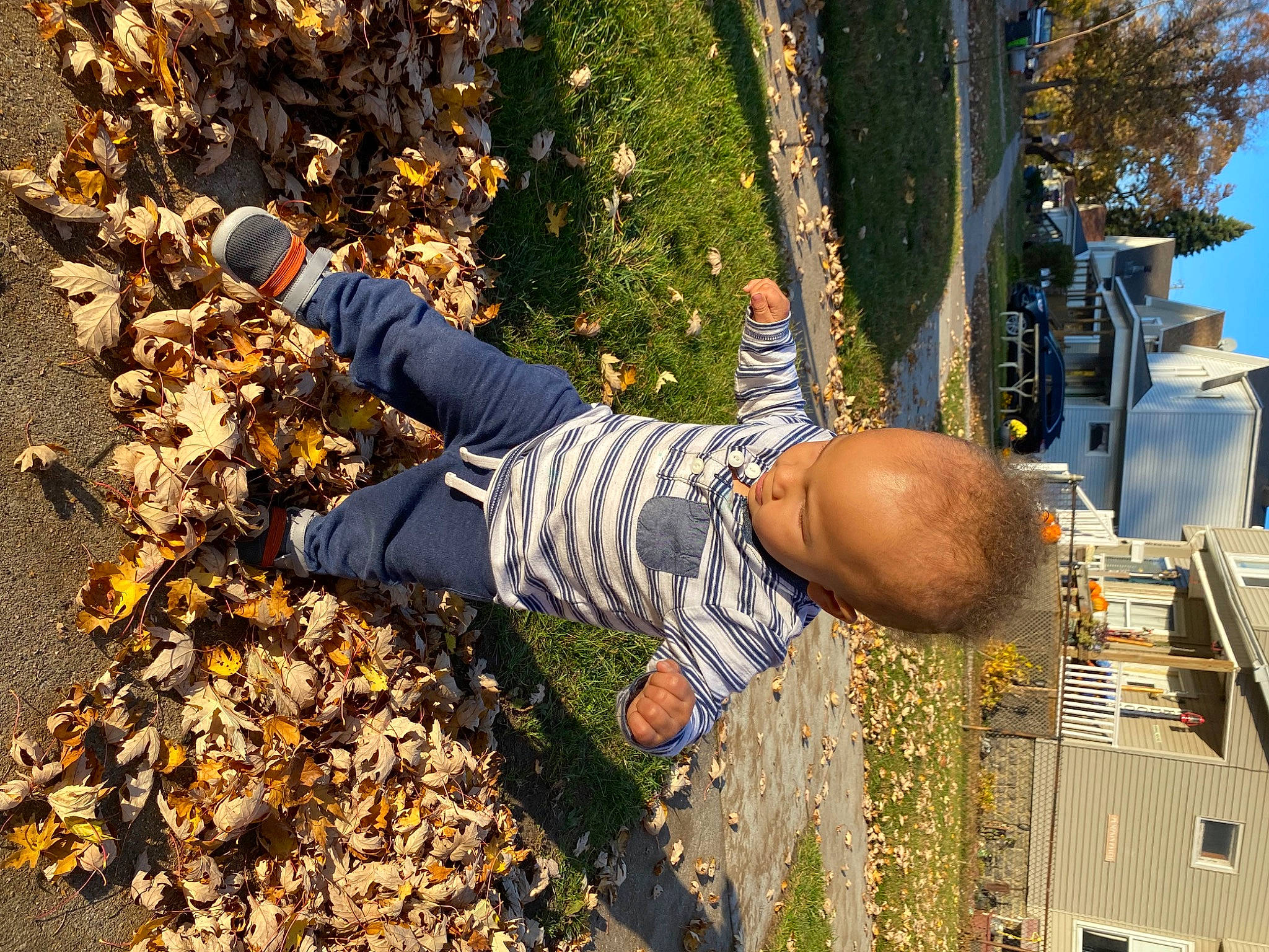 Phoenix is registered to the contest to win money with this photo: autumn, deciduous, fun, grass, human_leg, leisure, people_in_nature, person, physical_fitness, plant, sitting, soil, t_shirt, thigh, travel, tree, trunk, waist, wood, woody_plant