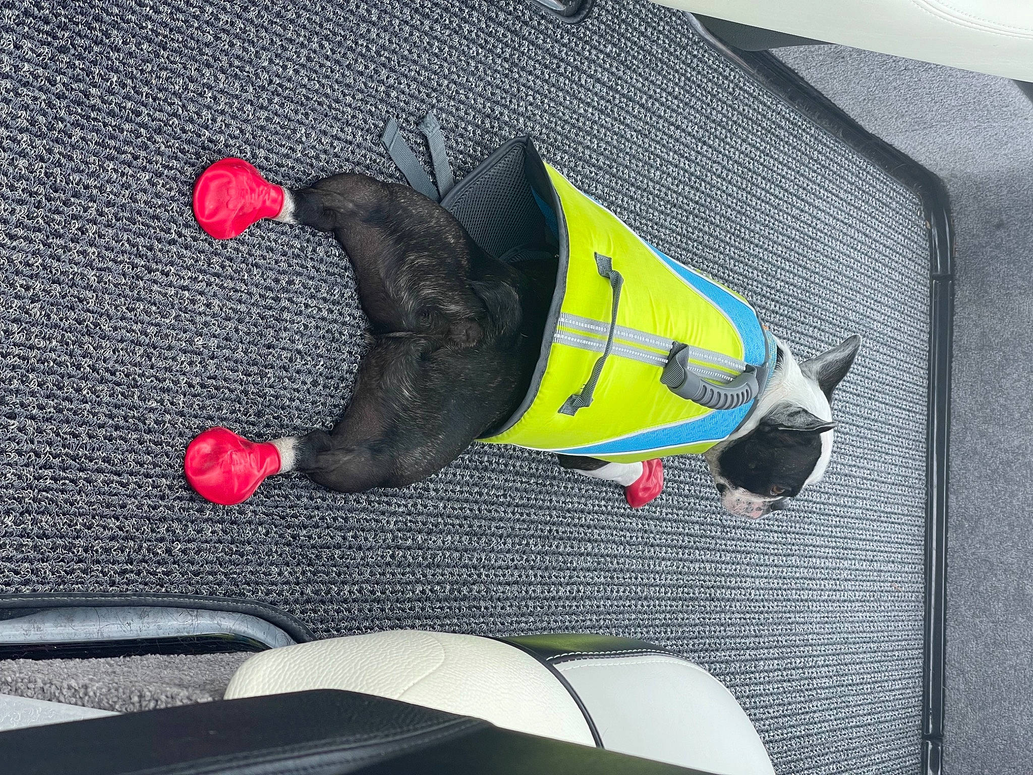 Hamlet is registered to the contest to win money with this photo: audio_equipment, automotive_design, automotive_wheel_system, carmine, font, foot, glove, grey, human_leg, leg, outdoor_shoe, personal_protective_equipment, recreation, sandal, sports_equipment, sportswear, tail, thigh, toy, vehicle_door