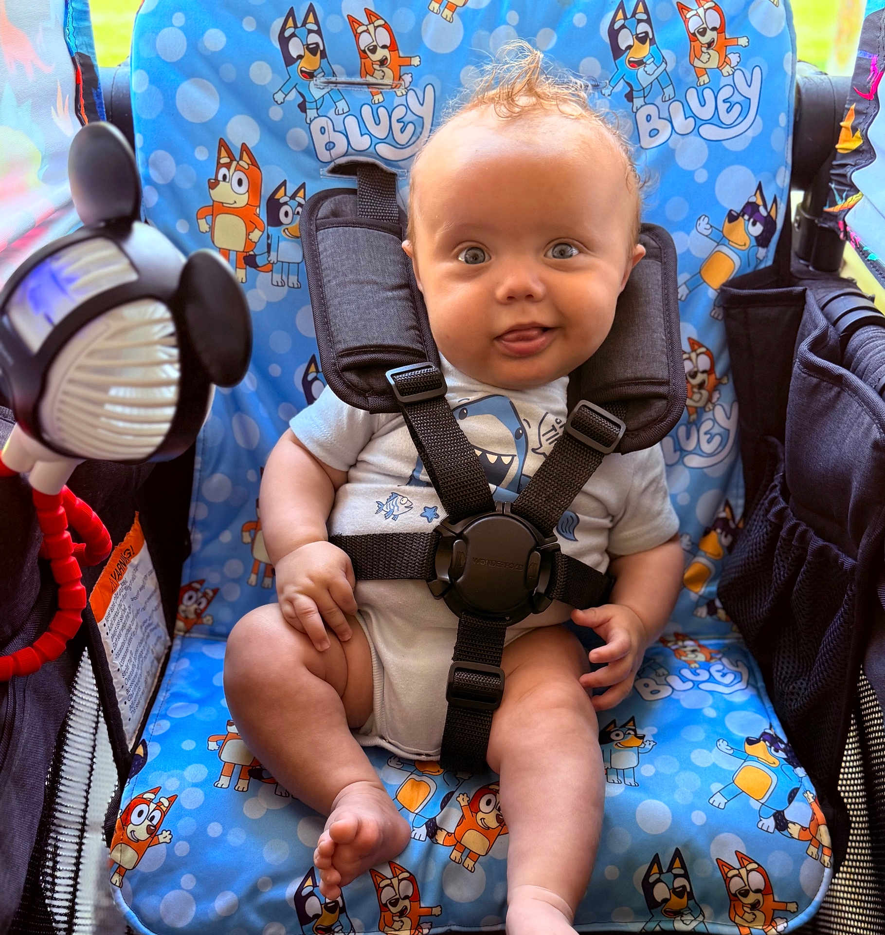 Elias