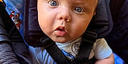 Elias is registered to the contest to win money with this photo: baby, child, stroller, blue, curly_hair, wide_eyes, cartoon, dog, seatbelt, infant, cute, expression, hands, clothing, closeup, portrait, indoor, seat, fabric, toddler