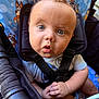 Elias is registered to the contest to win money with this photo: baby, child, stroller, blue, curly_hair, wide_eyes, cartoon, dog, seatbelt, infant, cute, expression, hands, clothing, closeup, portrait, indoor, seat, fabric, toddler
