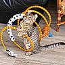Sitka a rejoint le concours — aidez-le/la à gagner de superbes lots ! animal, blue_ball, cat, cat_face, feather_toy, hoop, indoor, kitten, leather_sofa, pet, playtime, sitting, striped_fur, tabby_cat, tail, toy, toy_mouse, wicker_chair, wide_eyed, wooden_floor