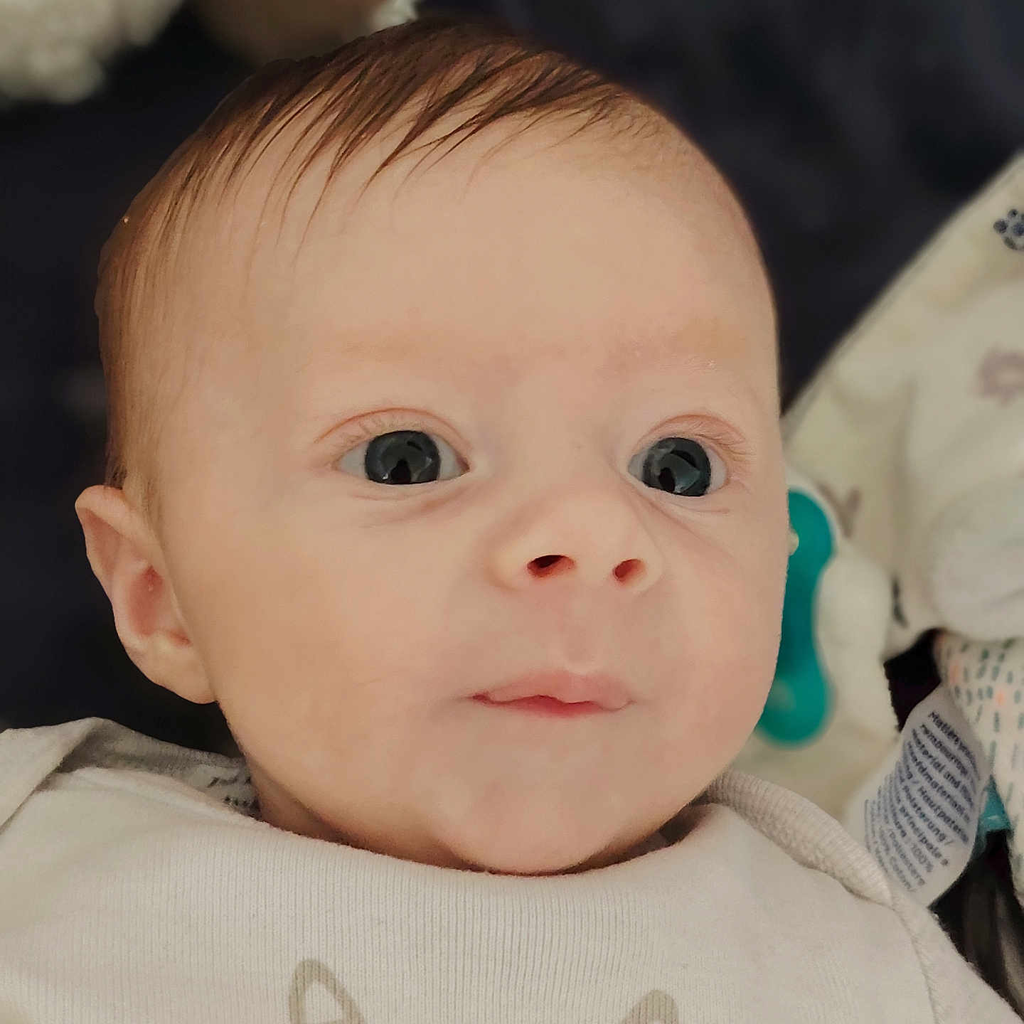 Ayden participe au concours pour gagner de l'argent avec cette photo : baby, blanket, child, closeup, clothing, cute, expression, eyes, face, head, indoors, infant, lying_down, newborn, pacifier, portrait, skin, soft, toy, young