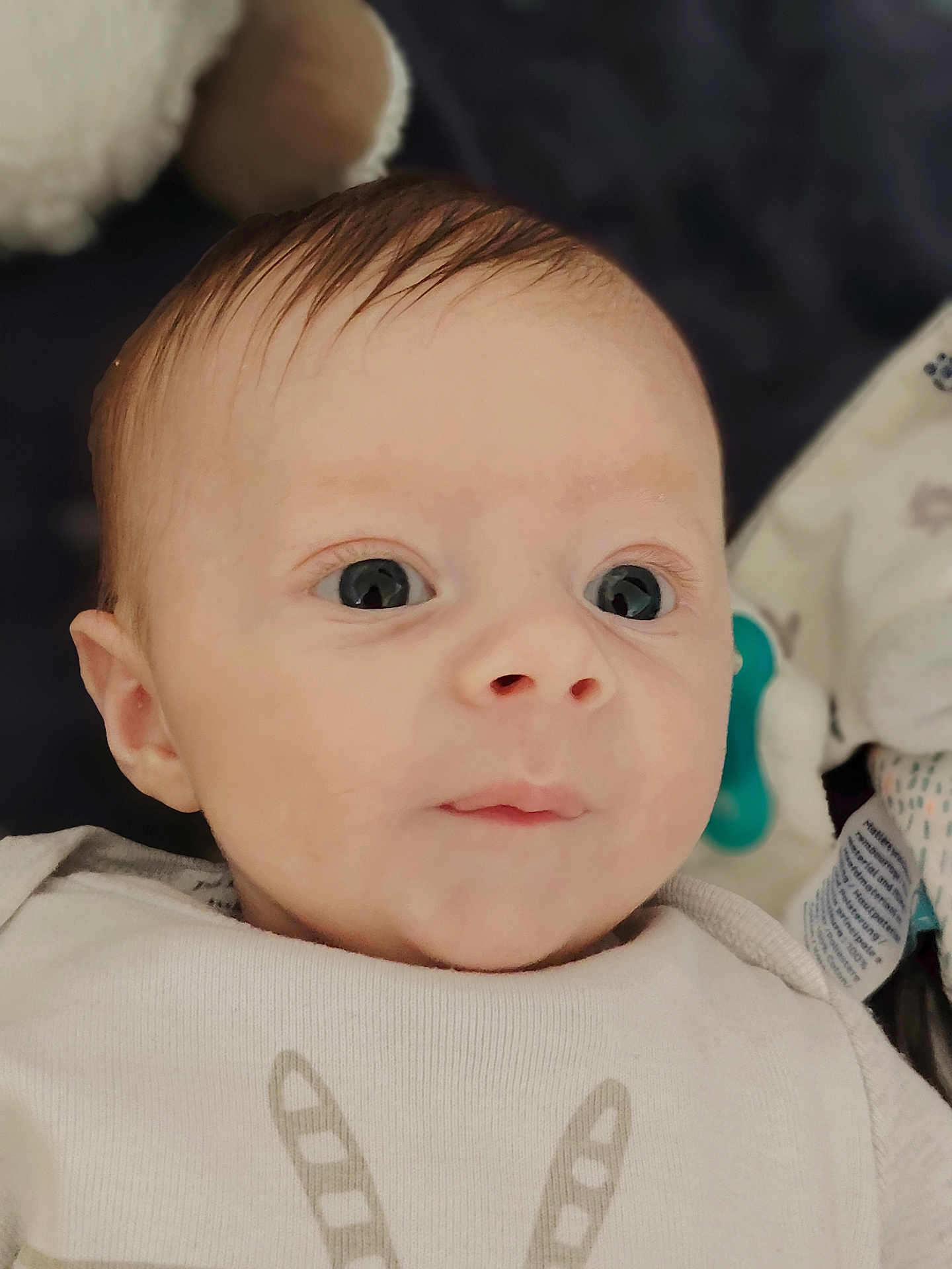 Ayden participe au concours pour gagner de l'argent avec cette photo : baby, infant, face, eyes, expression, clothing, pacifier, soft, closeup, portrait, newborn, cute, child, head, skin, young, lying_down, indoors, blanket, toy