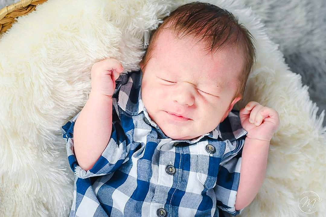 Julian participe au concours pour gagner de l'argent avec cette photo : baby, canidae, cheek, child, ear, fur, head, nose, person, photography, skin, toddler