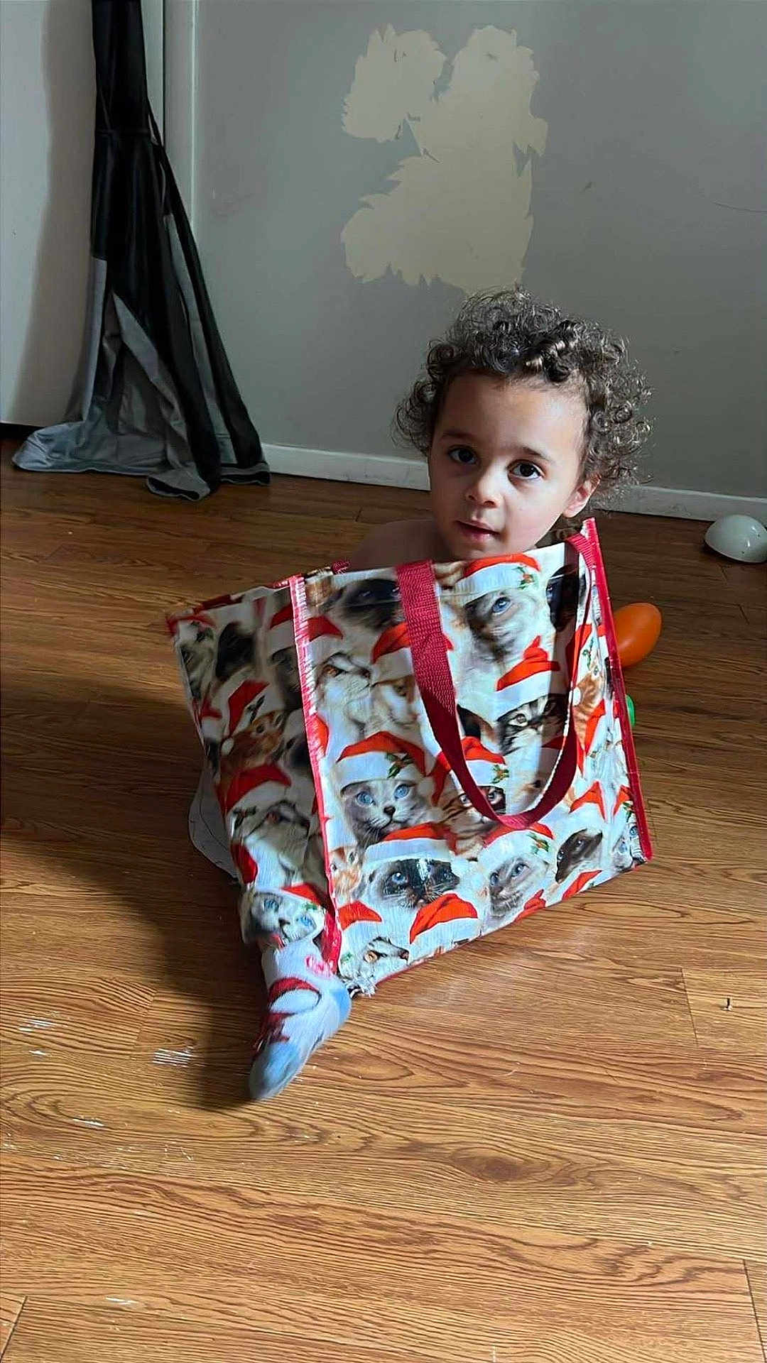 Mateo