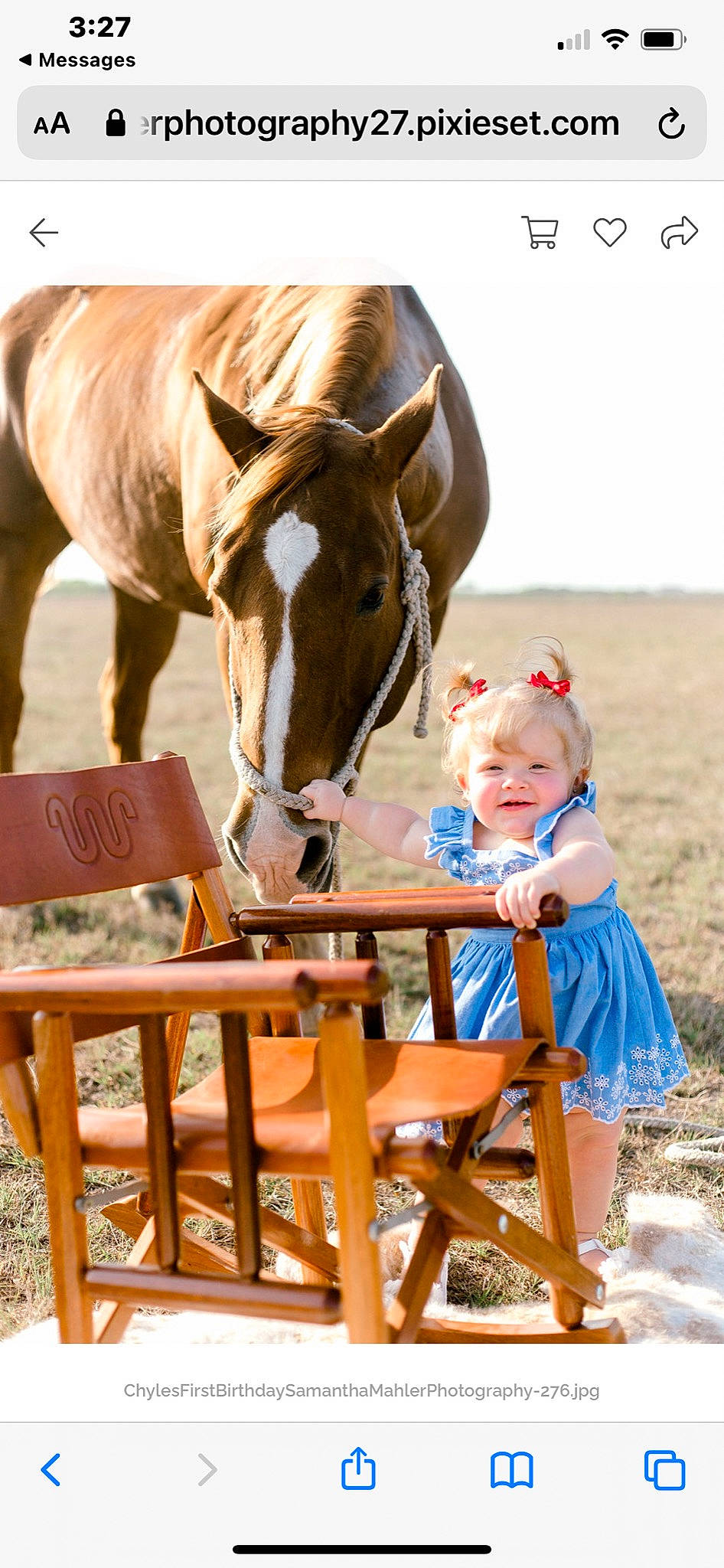 Chyles is registered to the contest to win money with this photo: bridle, chair, child, event, happy, horse, horse_supplies, horse_tack, landscape, leisure, liver, livestock, mane, mare, pack_animal, person, recreation, rein, sorrel, toddler