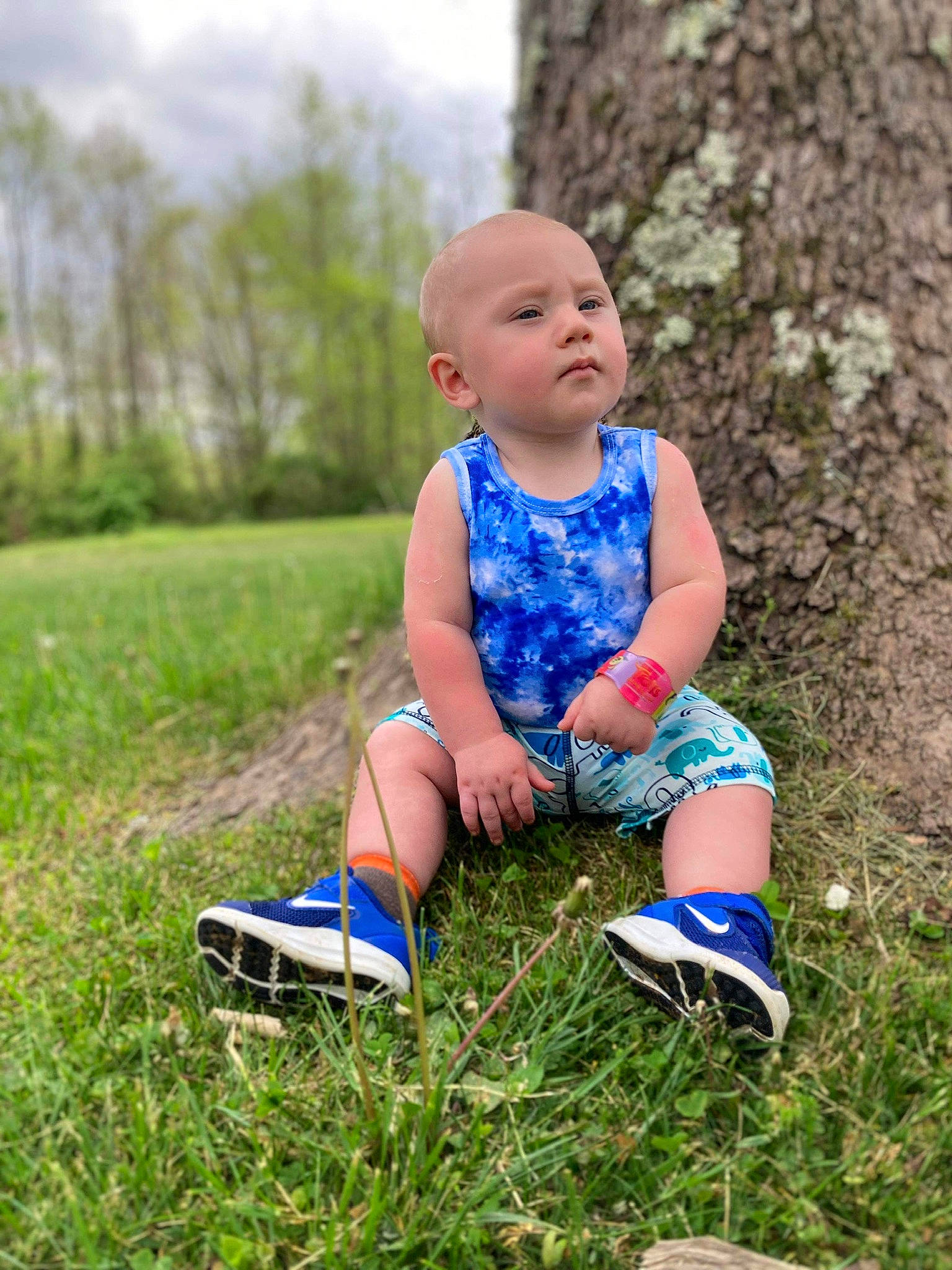 Nathaniel joined the competition — help win amazing prizes! baby, baby_toddler_clothing, child, electric_blue, fun, grass, grassland, happy, leaf, leisure, natural_environment, people_in_nature, person, plant, shoe, shorts, sky, sunlight, toddler, tree