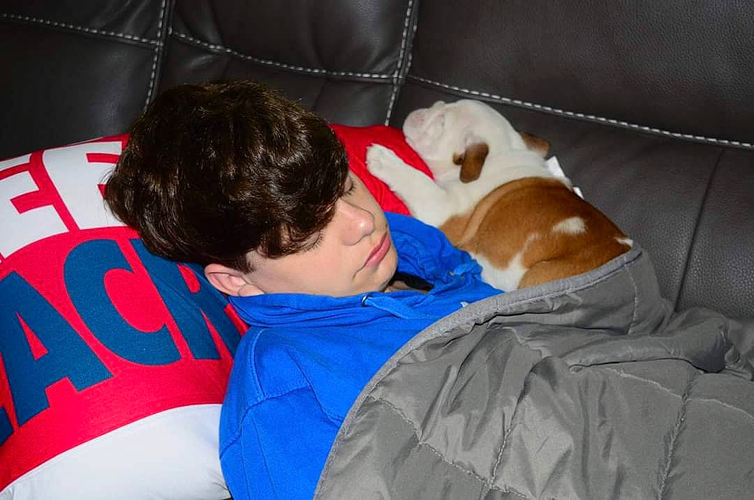 Duke is registered to the contest to win money with this photo: canidae, carnivore, companion_dog, dog, dog_breed, puppy, sporting_group