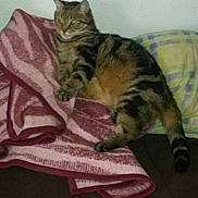 Mimura participe au concours pour gagner de l'argent avec cette photo :