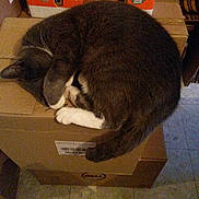 Rose Louise participe au concours pour gagner de l'argent avec cette photo :