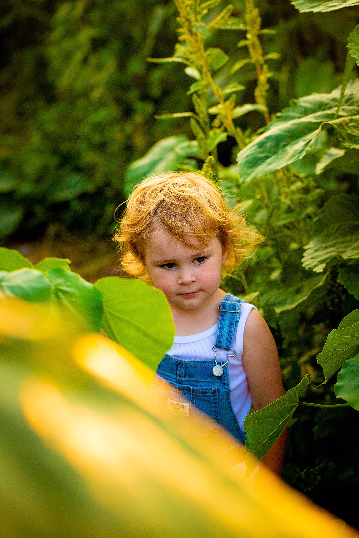 Kelsi joined the competition — help win amazing prizes! botany, child, forest, fun, garden, grass, grass_family, happy, landscape, leaf, leisure, people_in_nature, person, plant, recreation, summer, sunlight, t_shirt, toddler, tree