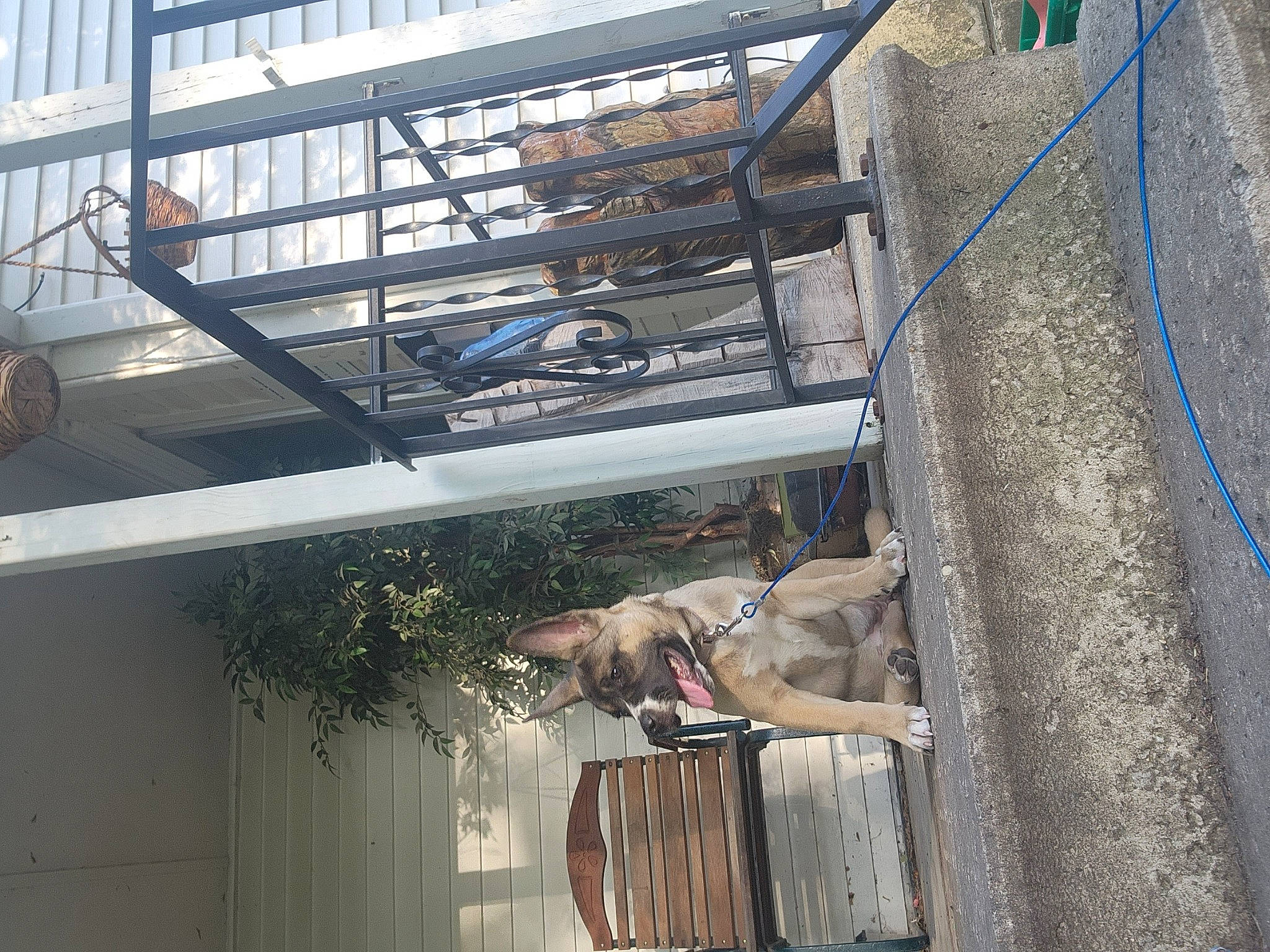 Kora is registered to the contest to win money with this photo: beam, building, ceiling, composite_material, concrete, condominium, daylighting, engineering, facade, glass, handrail, house, metal, mixed_use, roof, steel, urban_design, wall, window, wood