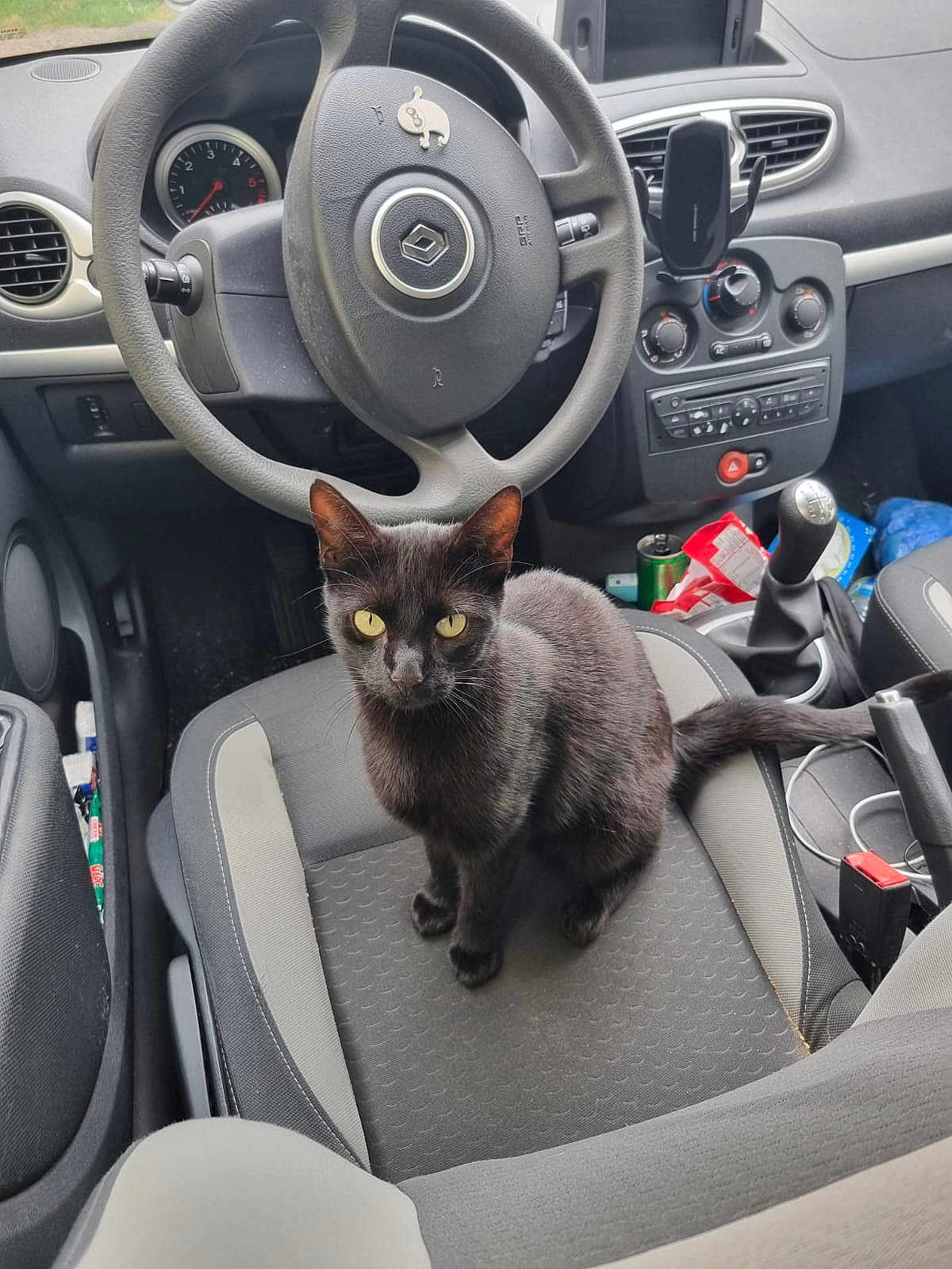 Niksy participe au concours pour gagner de l'argent avec cette photo : animal, automobile, black_cat, car_door, car_floor, car_interior, car_seat, cat, clutter, curious, dashboard, driver_seat, gear_shift, indoor, pet, seatbelt, steering_wheel, vehicle, window, yellow_eyes