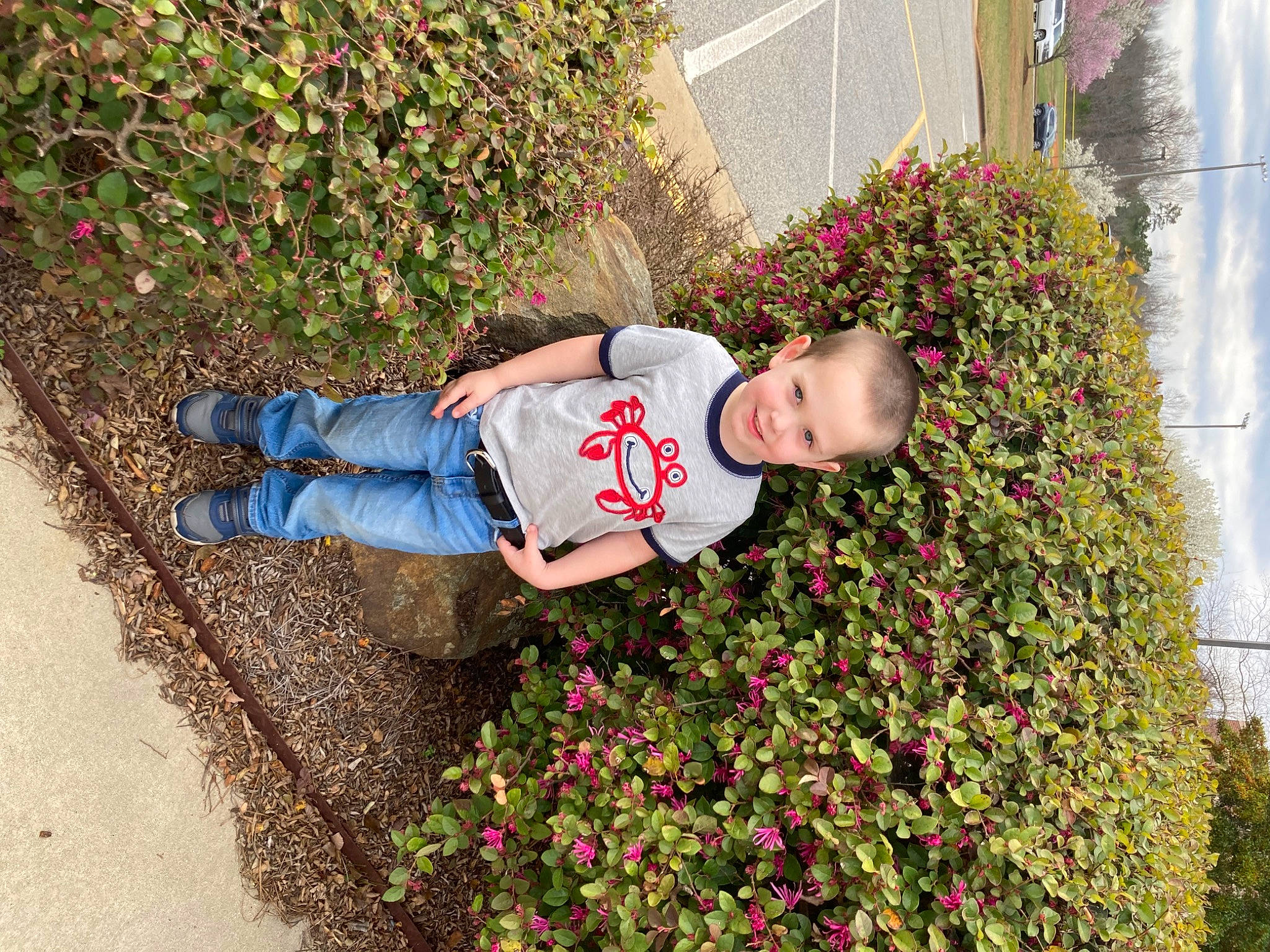 Samson joined the competition — help win amazing prizes! annual_plant, baby_toddler_clothing, carmine, flower, flowering_plant, garden, grass, groundcover, happy, hat, joy, landscape, landscaping, leisure, people_in_nature, person, petal, plant, shrub, spring