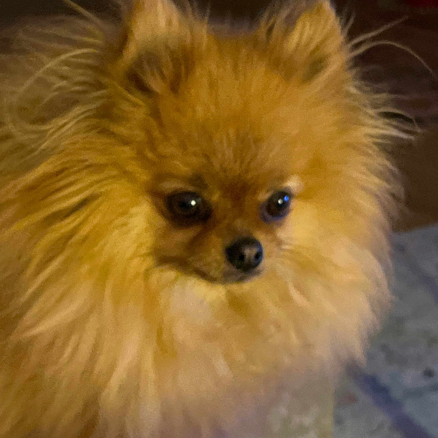 Tessie