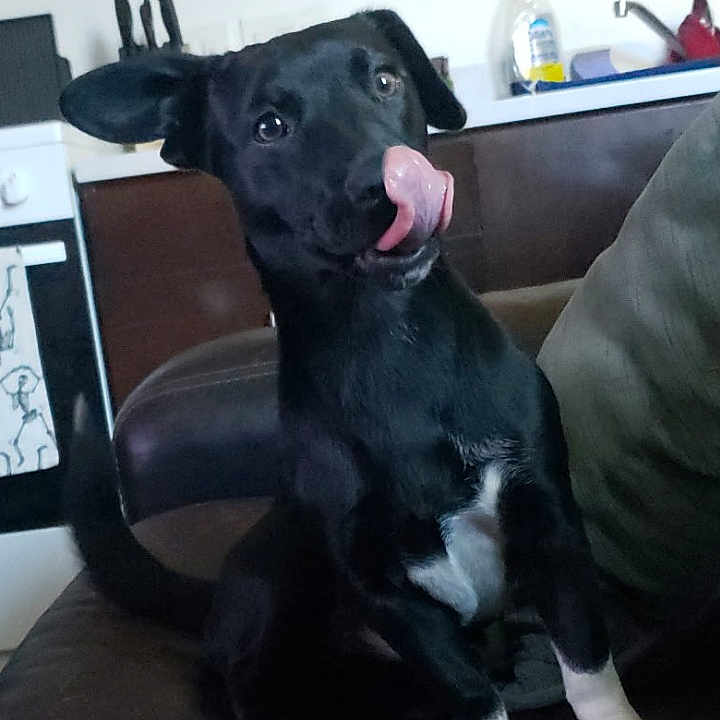 Kila