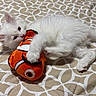 kitten, white_cat, plush_toy, orange_fish, bed, quilt, patterned_bedding, pet, cute, playful, animal, feline, toy, lying_down, soft_fur, indoor, young_cat, resting, close_up, domestic_animal