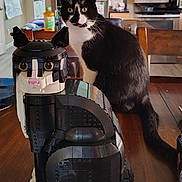 Oreo is registered to the contest to win money with this photo: cat, lego, lego_cat, tuxedo_cat, table, wooden_table, indoor, kitchen, furniture, bottle, chair, appliance, refrigerator, stove, domestic, pet, animal, black_and_white, curious, sitting