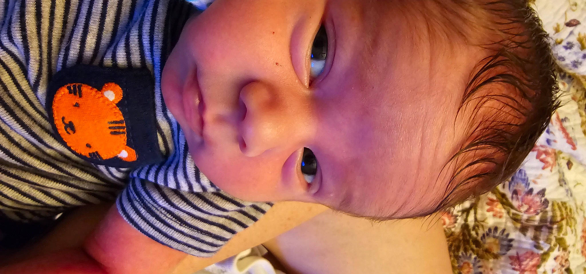 Gage is registered to the contest to win money with this photo: cheek, chin, ear, eye, eyebrow, eyelash, forehead, happy, head, headgear, human_body, iris, jaw, lip, mouth, muscle, neck, nose, person, skin