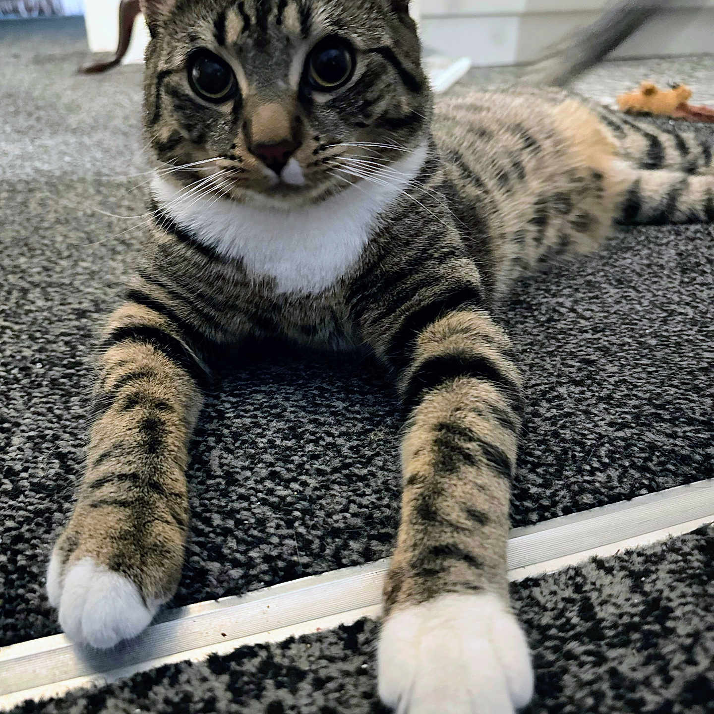 Bootsy