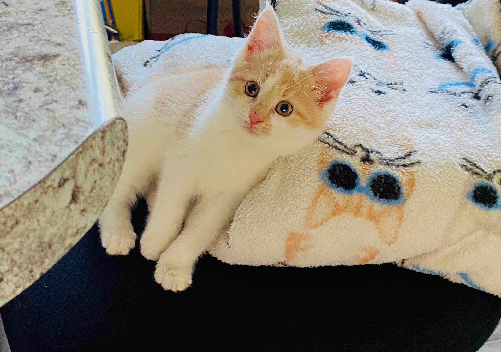 Luna