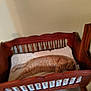 Jack-O-lantern is registered to the contest to win money with this photo: animal, blanket, carpet, cat, comfort, cozy, cute, domestic, fur, furniture, home, indoor, mammal, orange_tabby, pet, relaxing, resting, sleep, sleeping, wooden_cradle