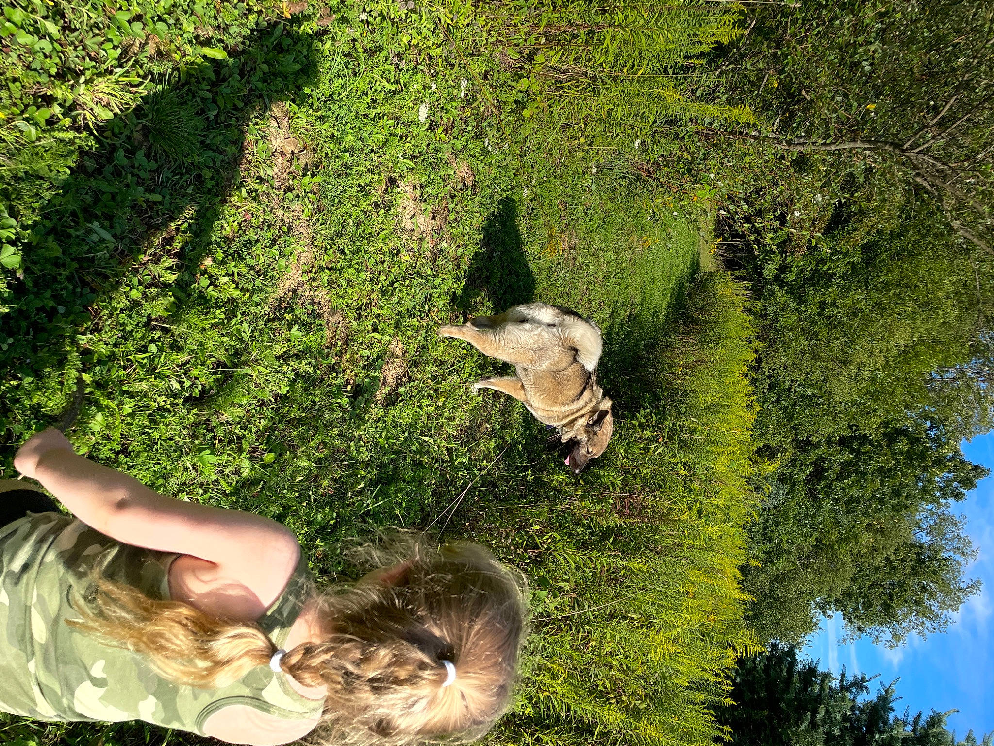 Roxi is registered to the contest to win money with this photo: adaptation, botany, cat, gesture, grass, grass_family, groundcover, leaf, leisure, nature, organism, people_in_nature, plant, shrub, sky, spring, tree, trunk, vegetation, woody_plant