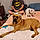 Mazy