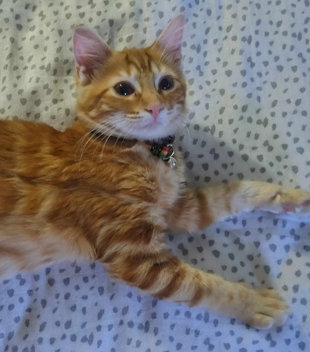 Yoda