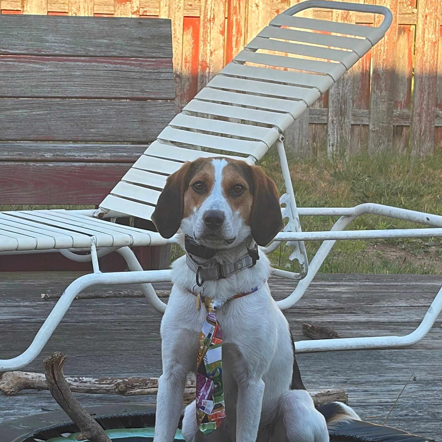Snoop