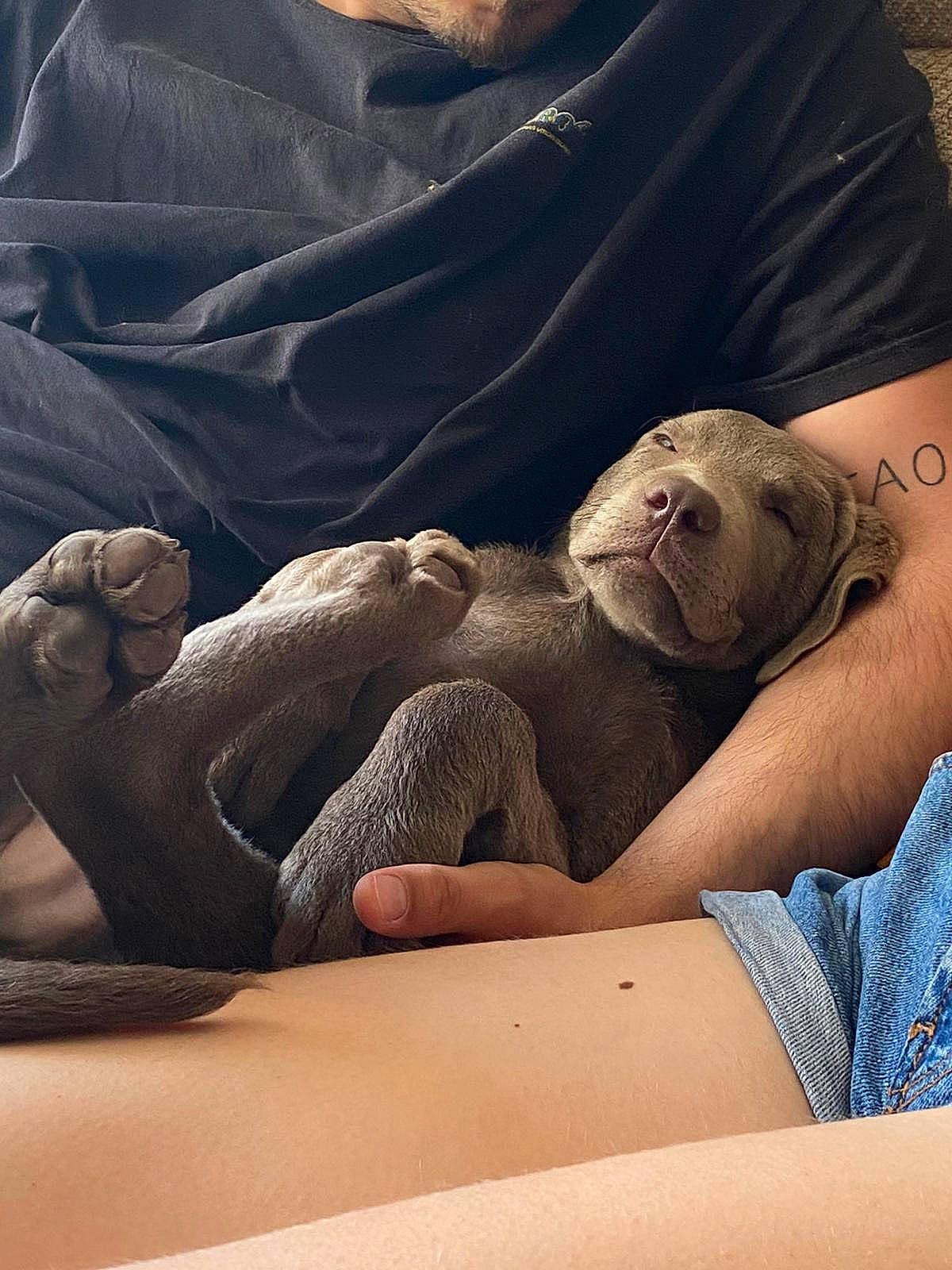Ryujin participe au concours pour gagner de l'argent avec cette photo : abdomen, barechested, barefoot, chest, cloud, comfort, elbow, finger, human_body, human_leg, knee, landscape, leg, linens, shorts, textile, thigh, trunk, vertebrate, wood