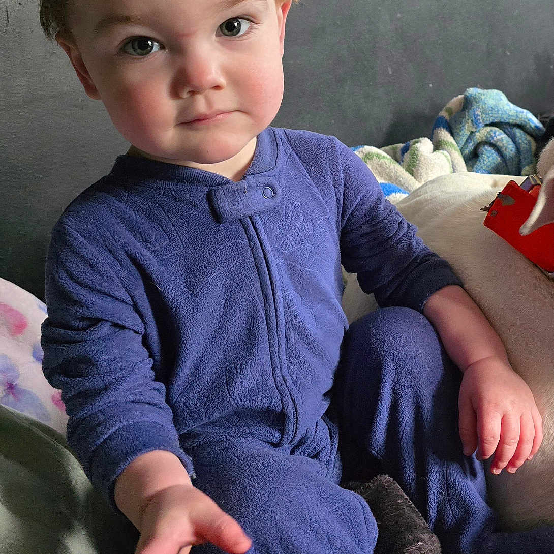 Artyom is registered to the contest to win money with this photo: baby, blanket, child, cozy_clothing, cute, expression, face, gray_wall, hand, human, indoor, person, portrait, purple_onesie, reaching_out, rosy_cheeks, sitting, soft_lighting, toddler, young_child