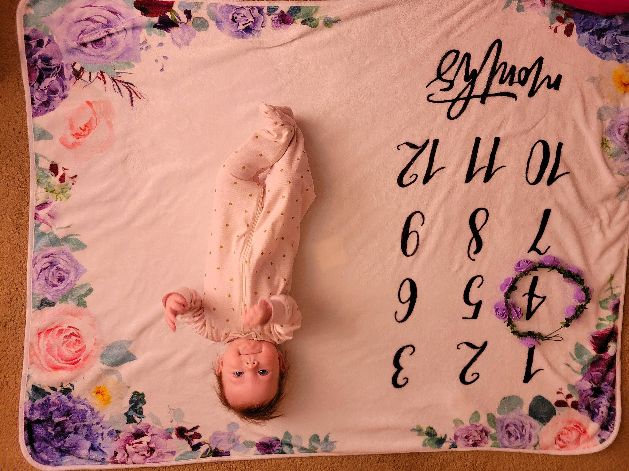 Alyvia is registered to the contest to win money with this photo: art, cake_decorating_supply, comfort_food, creative_arts, font, fur, handwriting, illustration, linens, magenta, paper, pattern, peach, person, pink, rectangle, room, sugar_cake, sweetness, textile